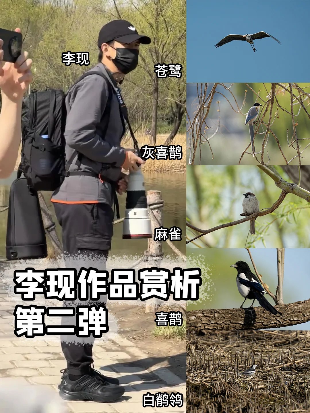 狂喜，李现入大坑了！这次又拍了些啥？