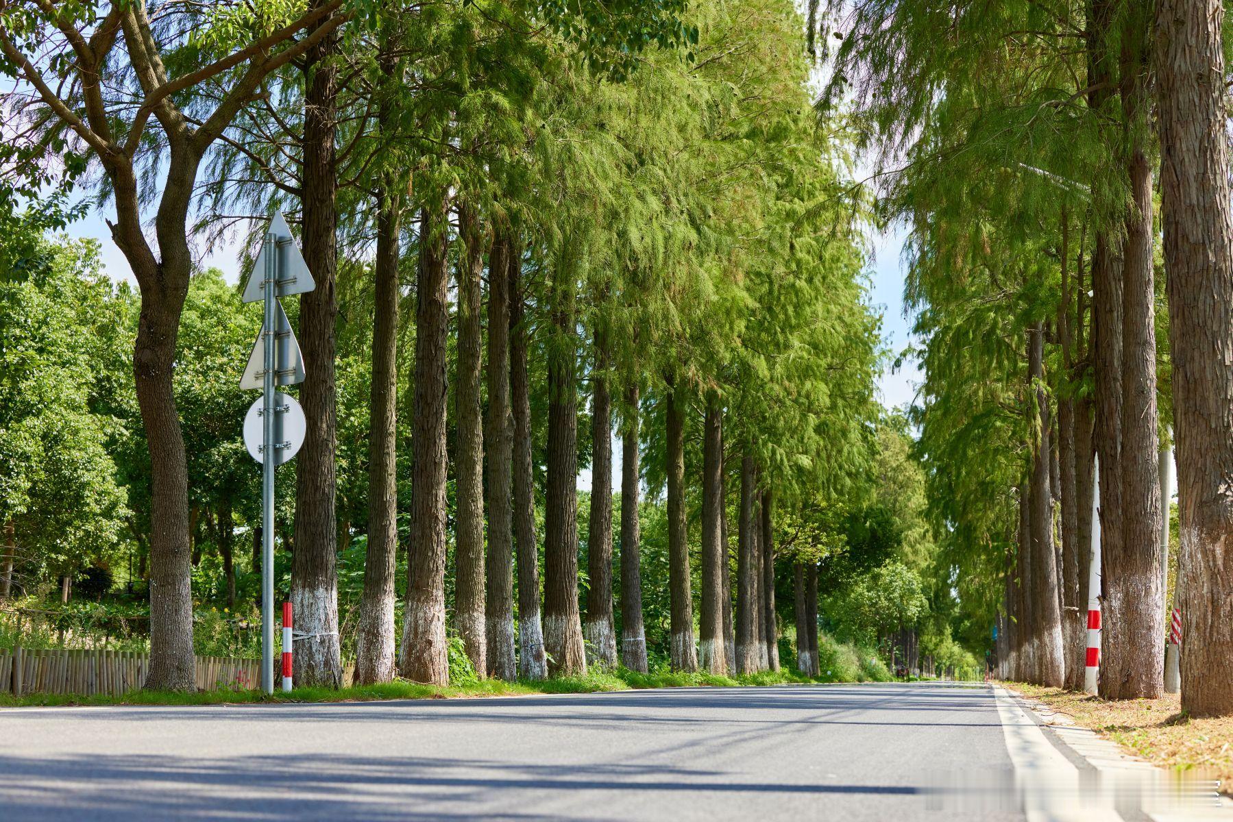 【股权分期】为什么激励绝不能“一步到位”？核心观点：股权激励是一场“用时间与业绩