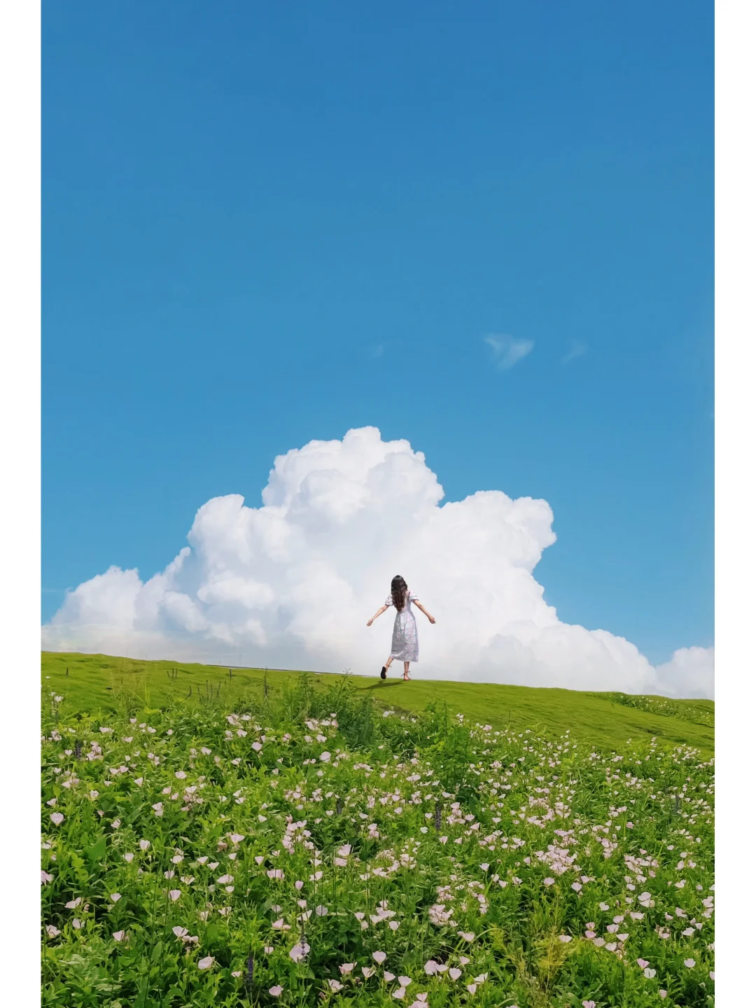 这不是新疆！这是杭州！真的像宫崎骏漫画🖼️