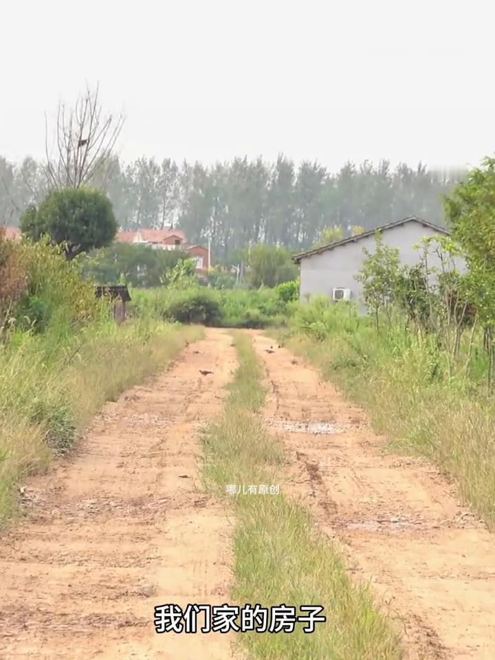 出去打工大半年了，回来才发现我们家的房子被野草和野生动物包围了。