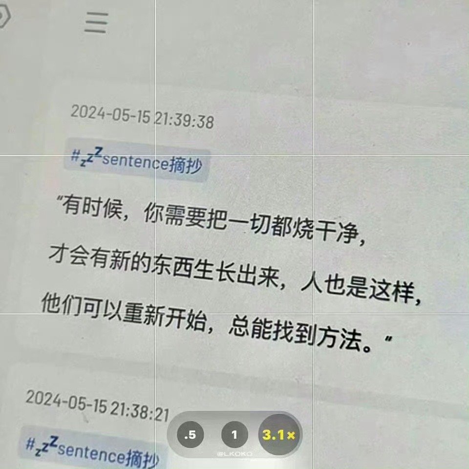 “有时候 你需要把一切都烧干净 ​​​” ​​​