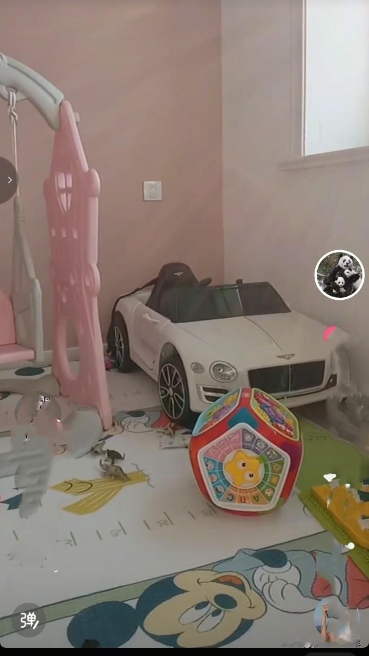 这个车也不便宜，不过也不是买不起。
可能是性能多些。
孙女小时候，一屋子玩具，就