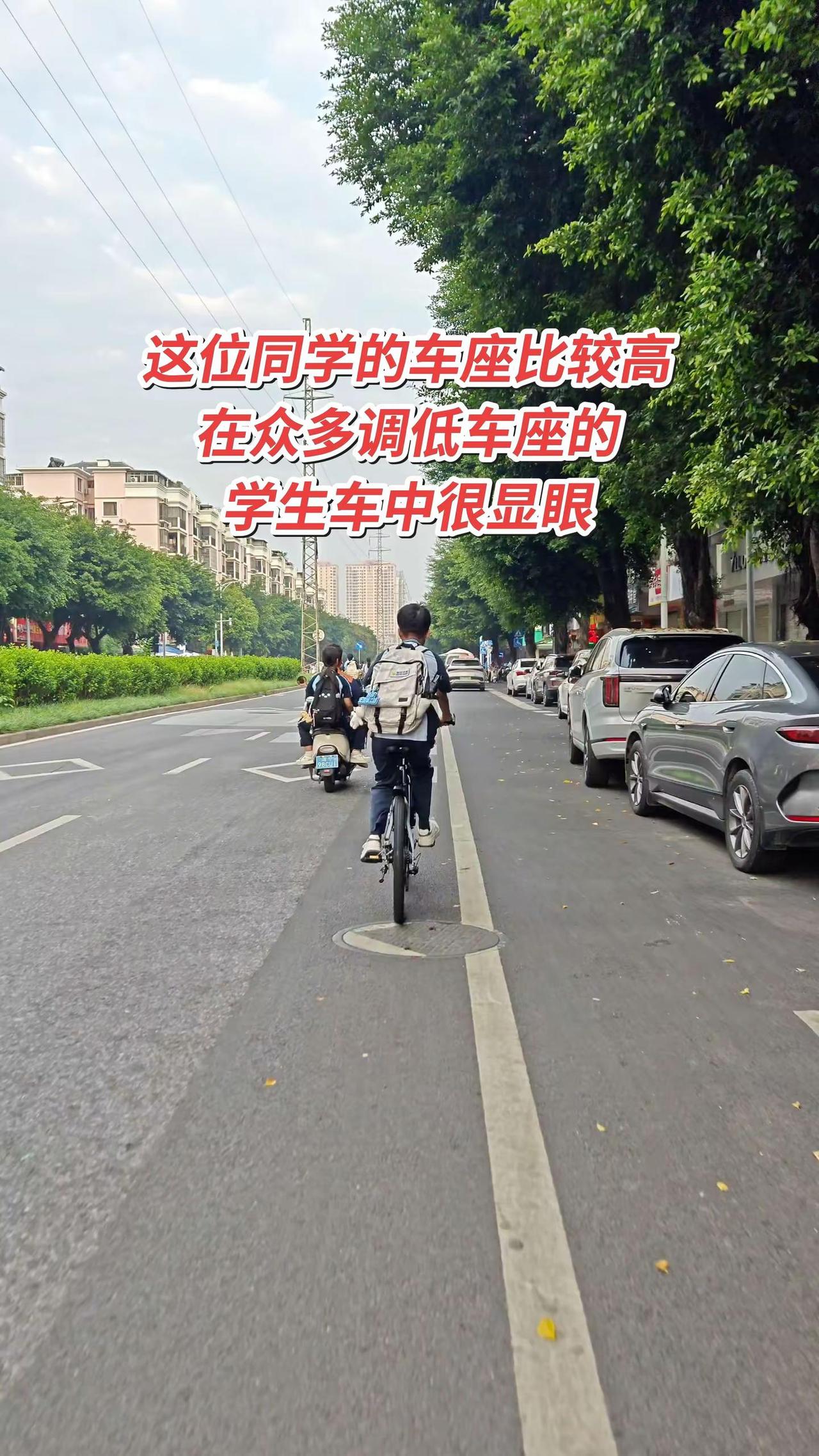 这位同学的车座比较高，在众多调低车座的学生车中很显眼。骑行随拍 中学生 骑行vl