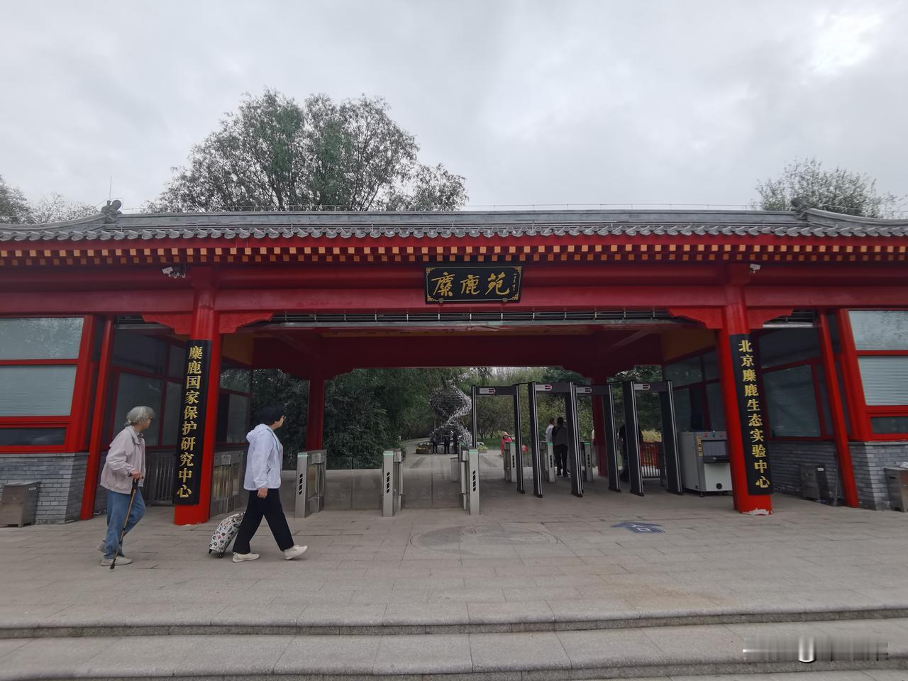 传说中姜子牙的坐骑，原产地中国。1900年，因八国联军入侵、永定河水泛滥成灾，这