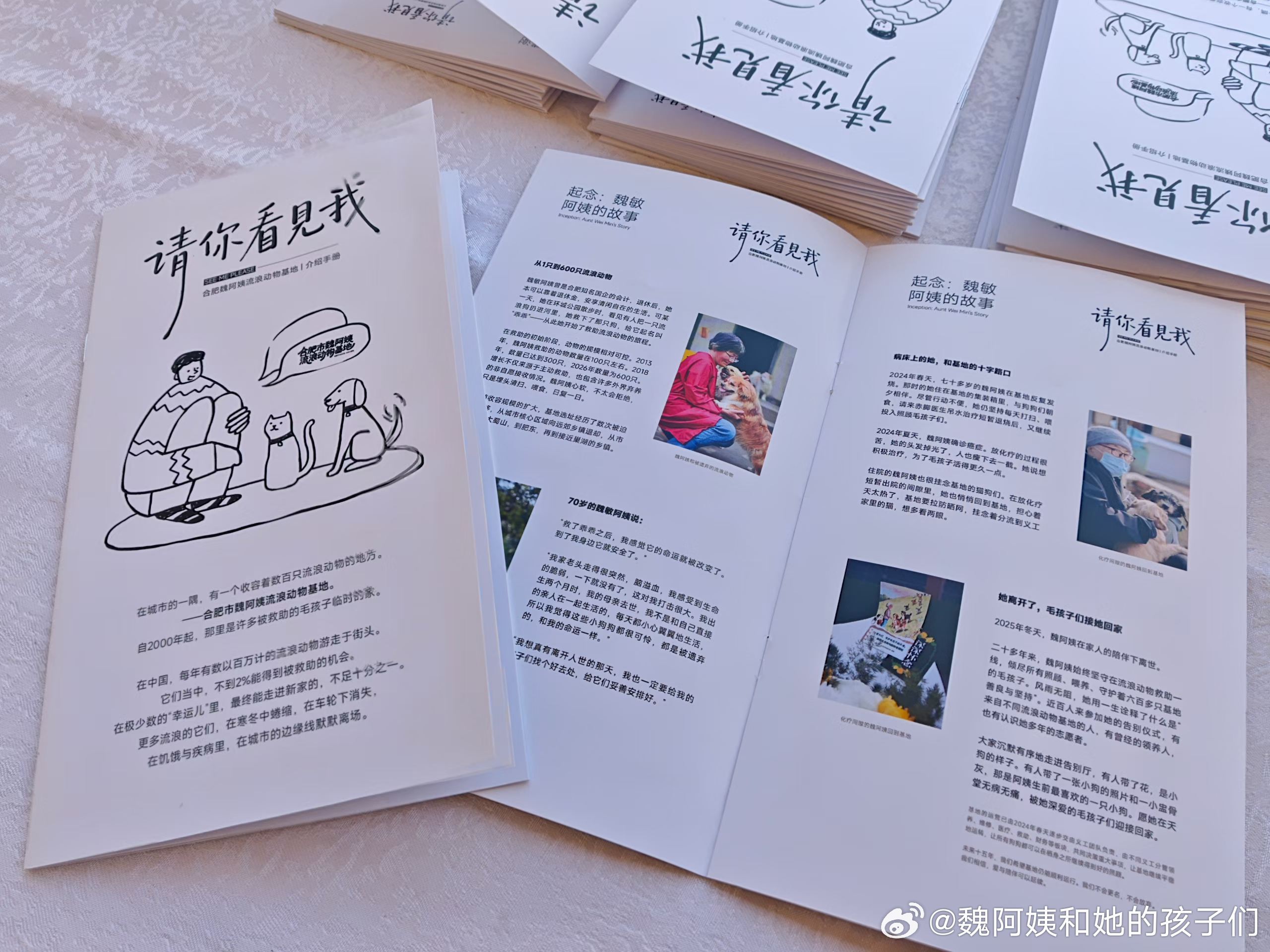 关爱流浪动物 在义工的帮助下，基地介绍手册全新上线啦！20+年的运营，600+的