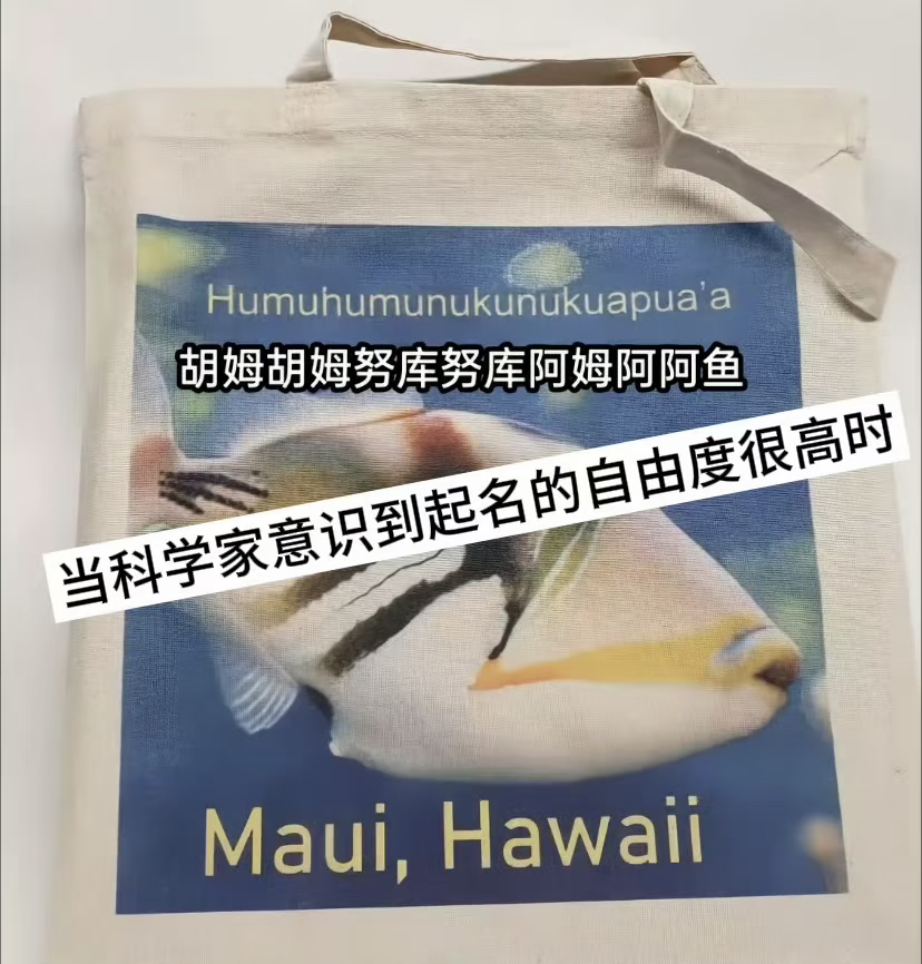 6688地球online的部分命名系统还是很开放的 