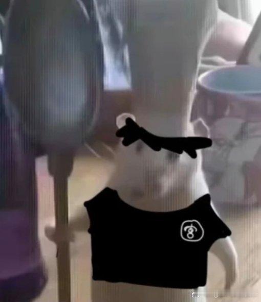 啊啊啊啊啊…怎么还有这种表情包宫治 ​​​