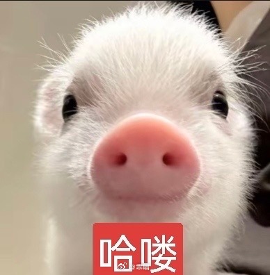 刚点完外卖我就困了 