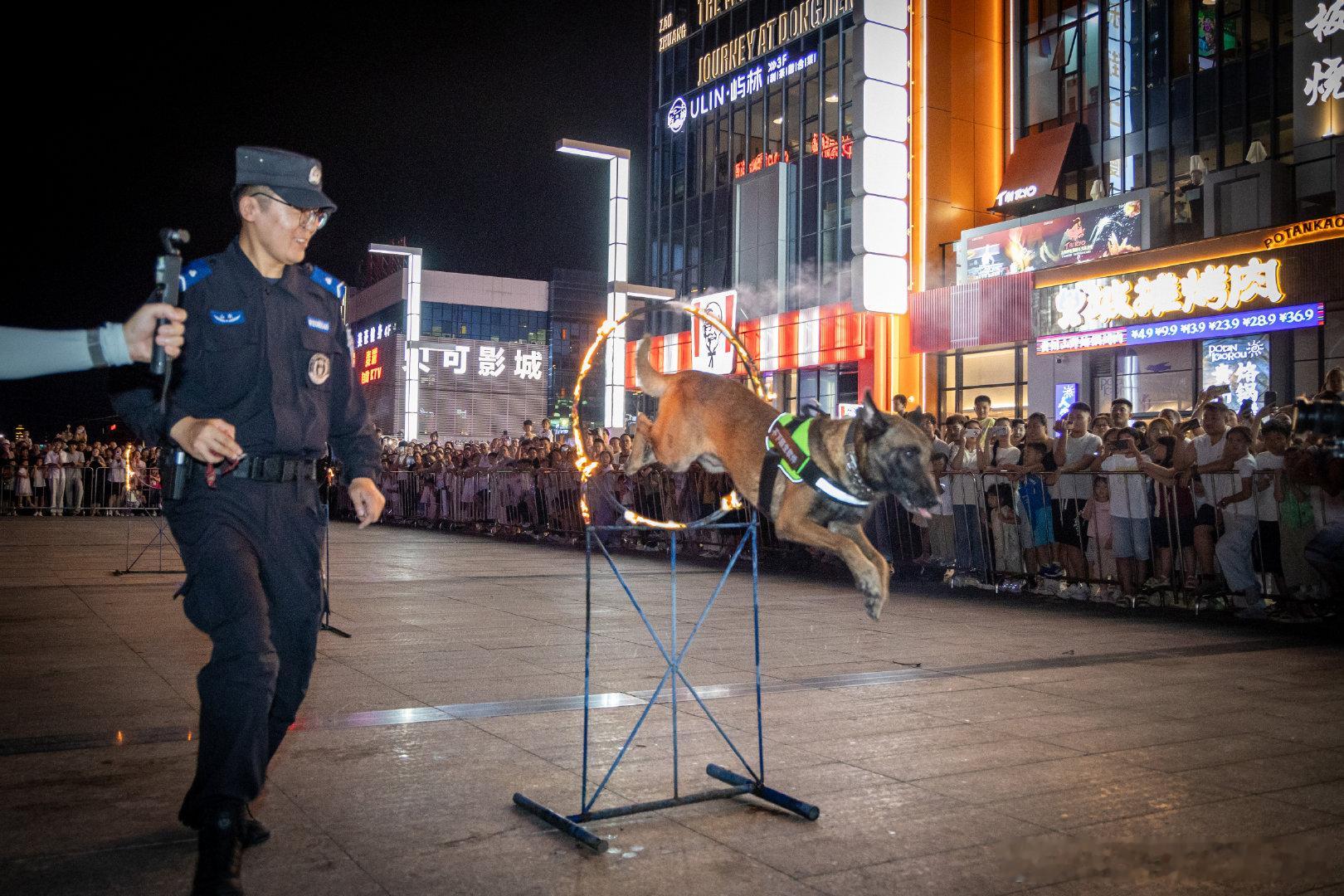 月亮警官普法说 [太阳]虚假投资的“高回报”是骗局的糖衣伪装，谨防上当。早安！[