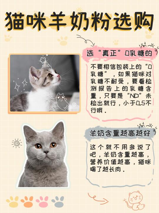 618猫咪羊奶粉选购攻略