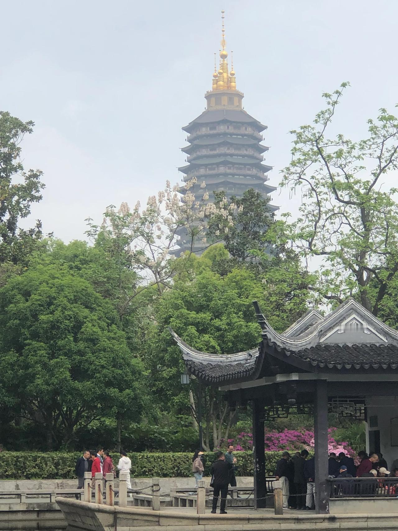 常州今天晨雾散了就放晴啦，10到23度不冷不热，风也软乎乎的。红梅公园里热闹得很