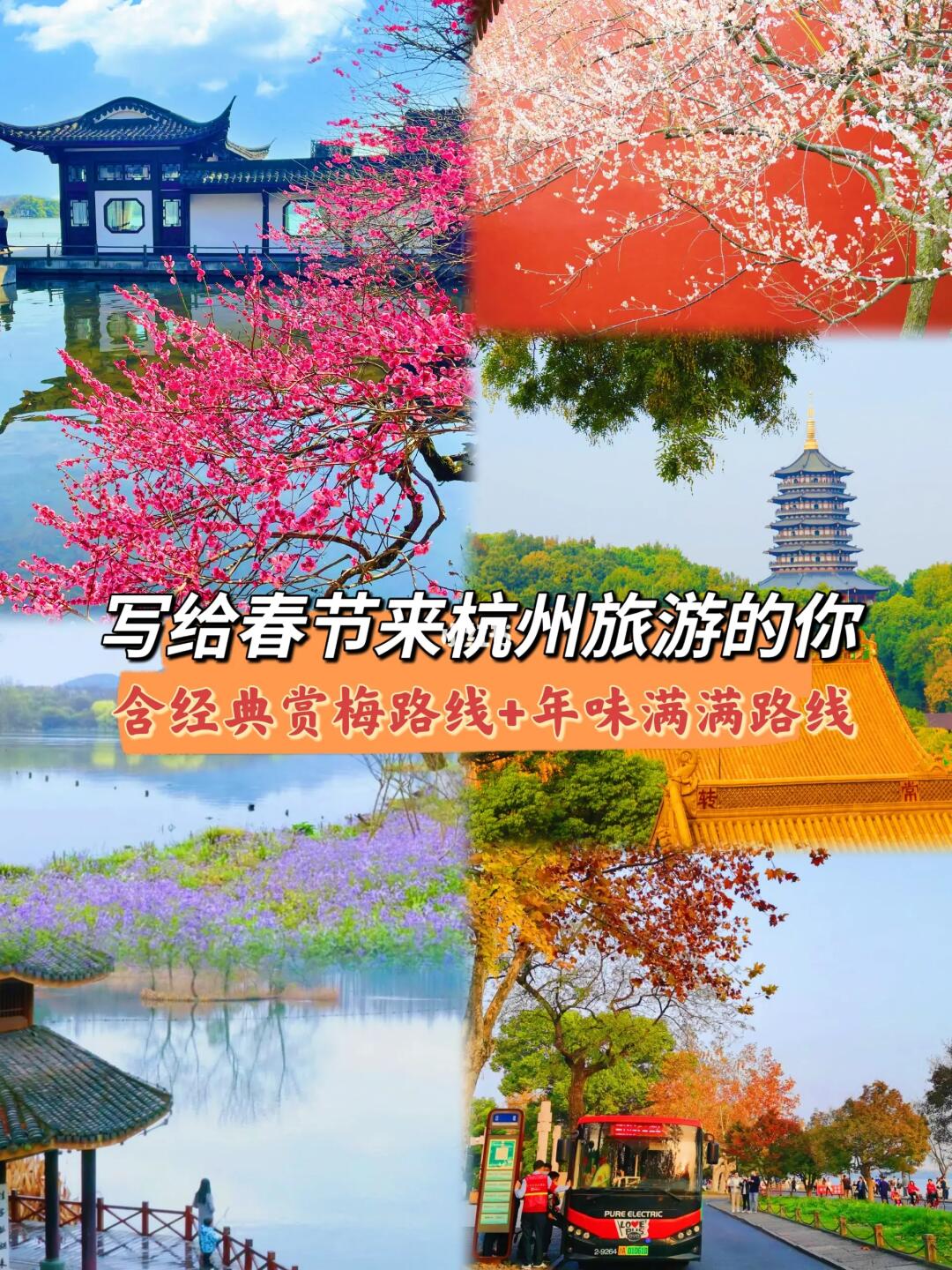 春节来杭州旅游现状🤣听劝，尽快改行程
