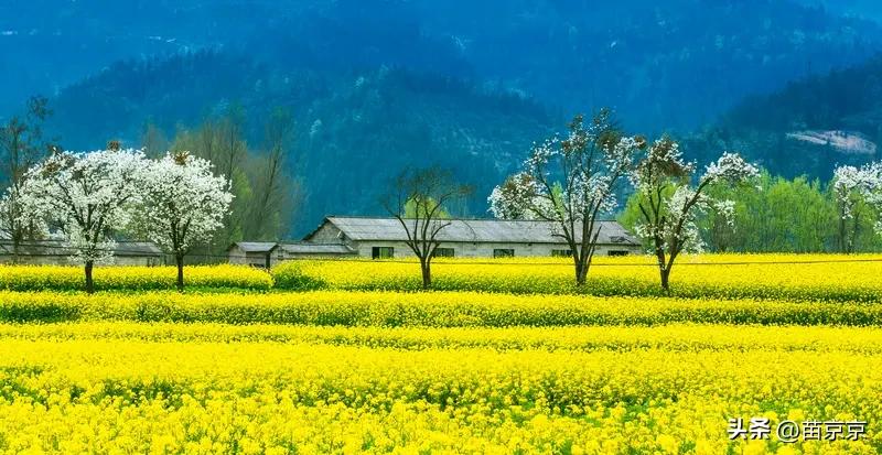 看着花开，晒着太阳，
整个人都懒洋洋的，特别舒服。
 
不用赶时间，不用想太多，