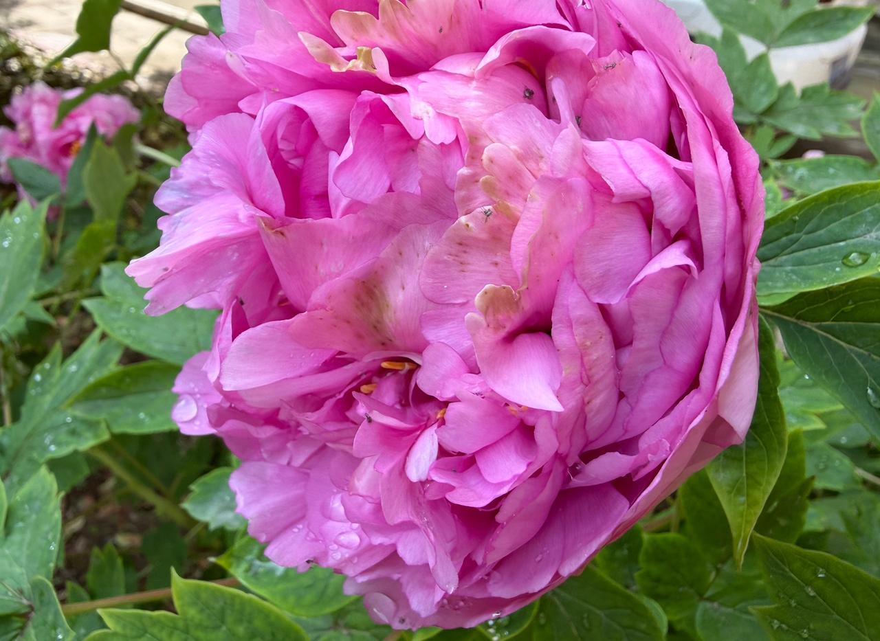 昨天，我吃了一个甜瓜。

朋友说，她老公的身高只有160，实话实说，当年她也是因