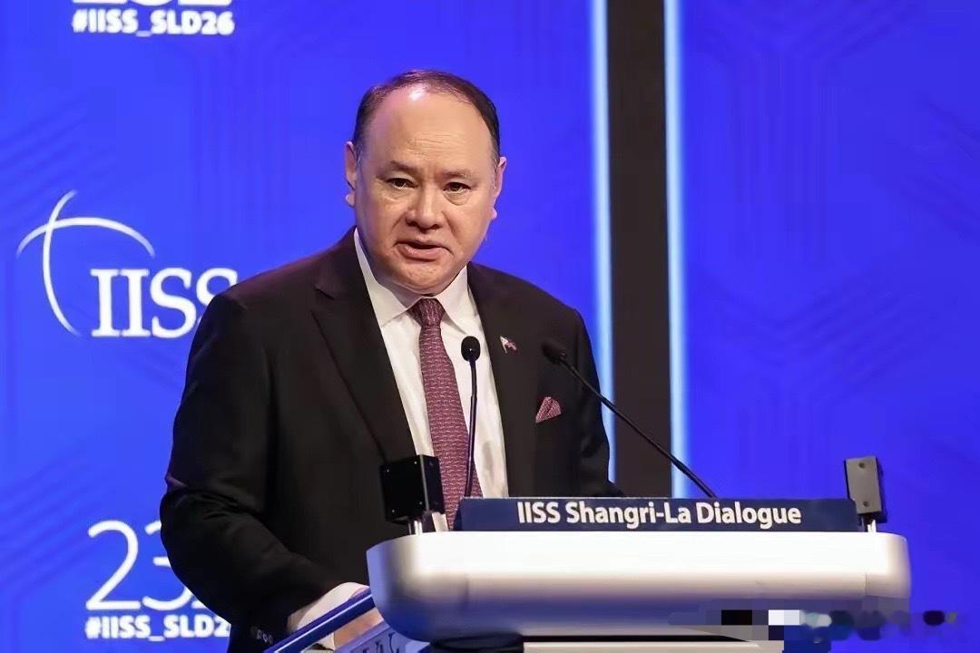 菲防长被查双重国籍！马科斯后院起火。天狂必有雨，人狂必有祸！那个跟着马科斯上蹿下