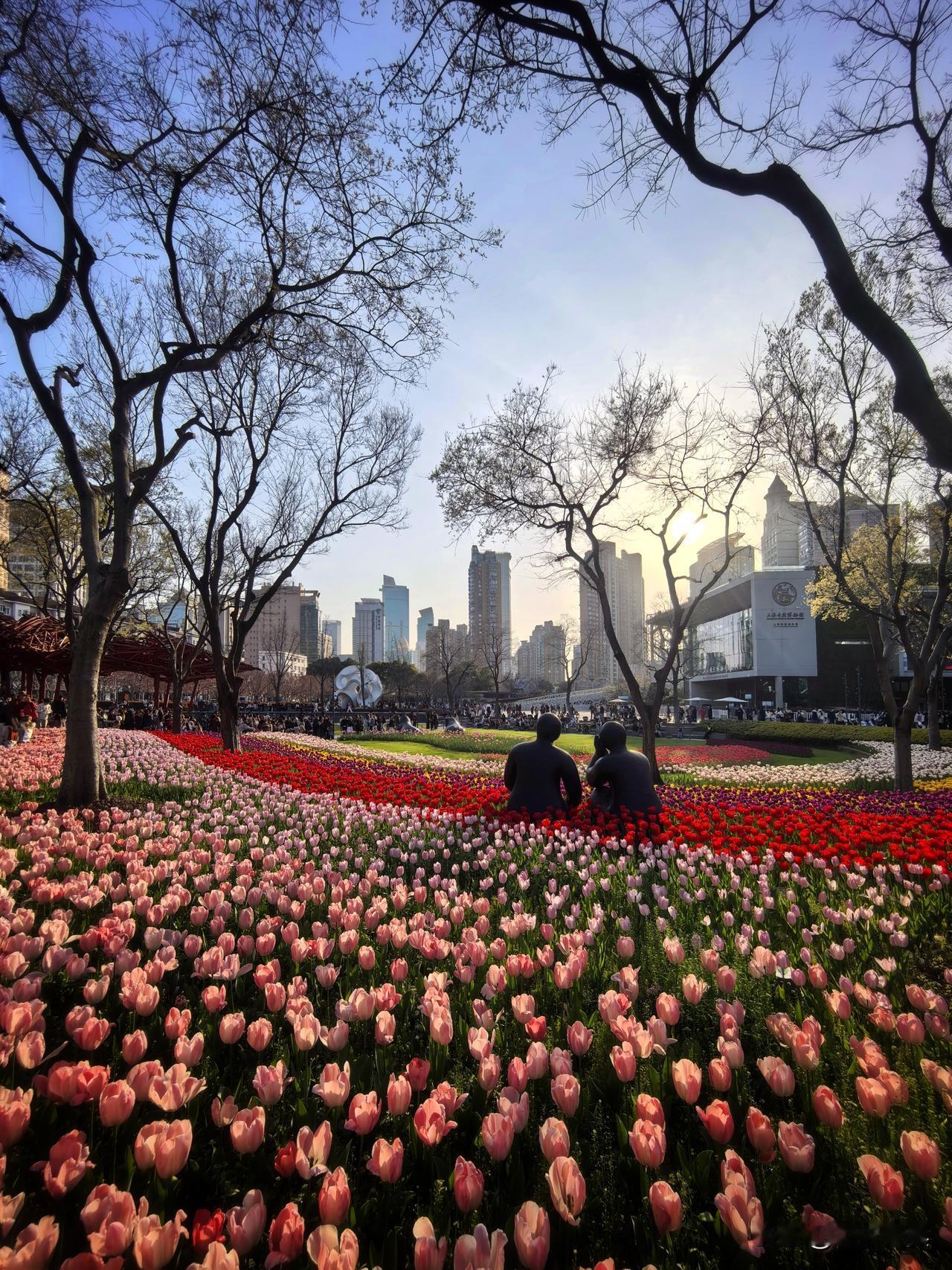上周末去张园和丰盛里拍照的时候，也顺道去静安雕塑公园拍了郁金香，算了下，我已经连