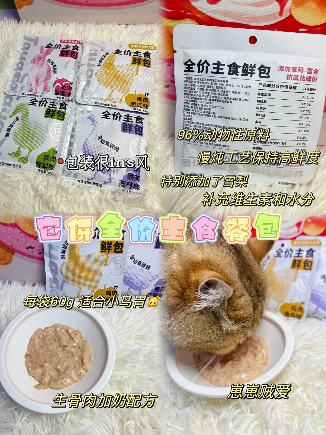 阿墩的好物分享｜轻松养猫