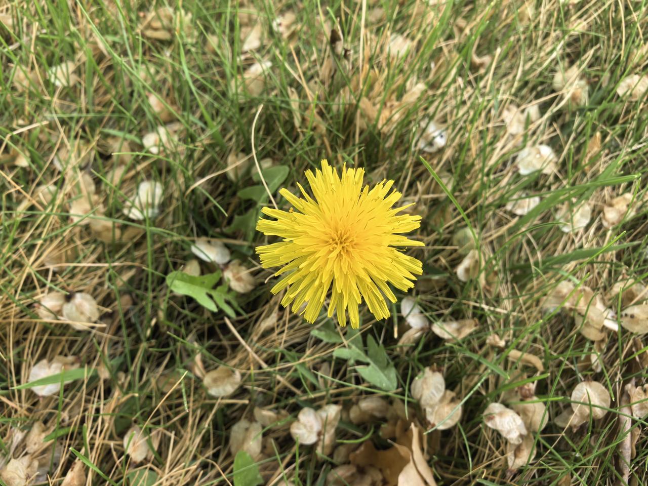 闺蜜和男票异地，一个月只能见上一次。上月，闺蜜去看男票，男票热情招待，一日三餐都