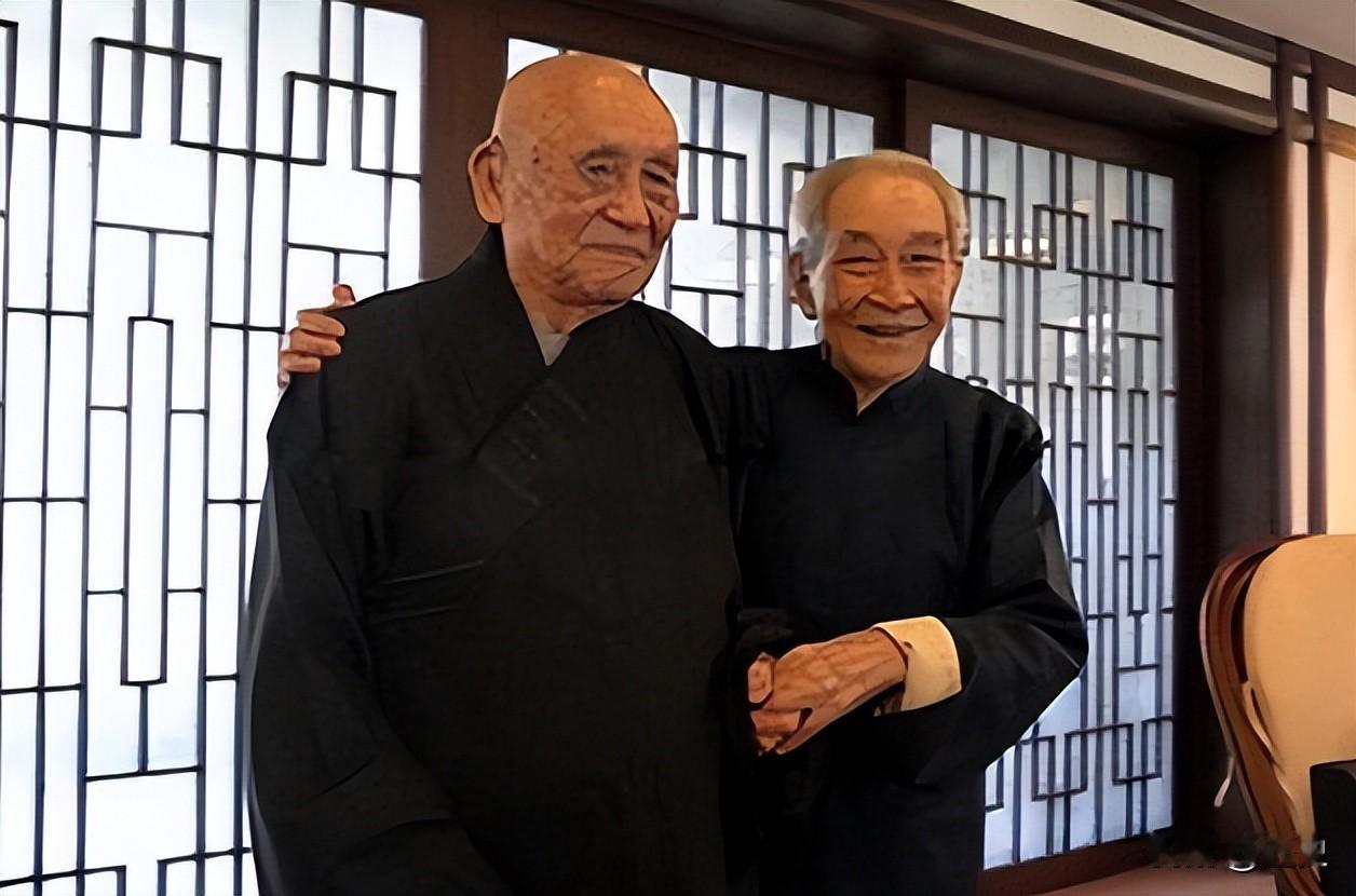 妻子离世，他一生立志不娶，岳母：小女儿嫁你，生下一子名扬四海。[大侦探皮卡丘]