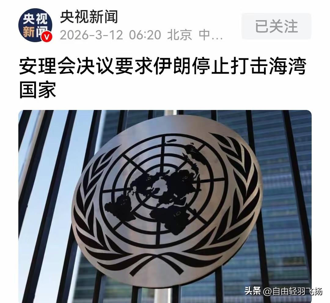 安理会这波操作，真是把双标玩明白了。

 
3月11日，两份决议同一天投票。第一