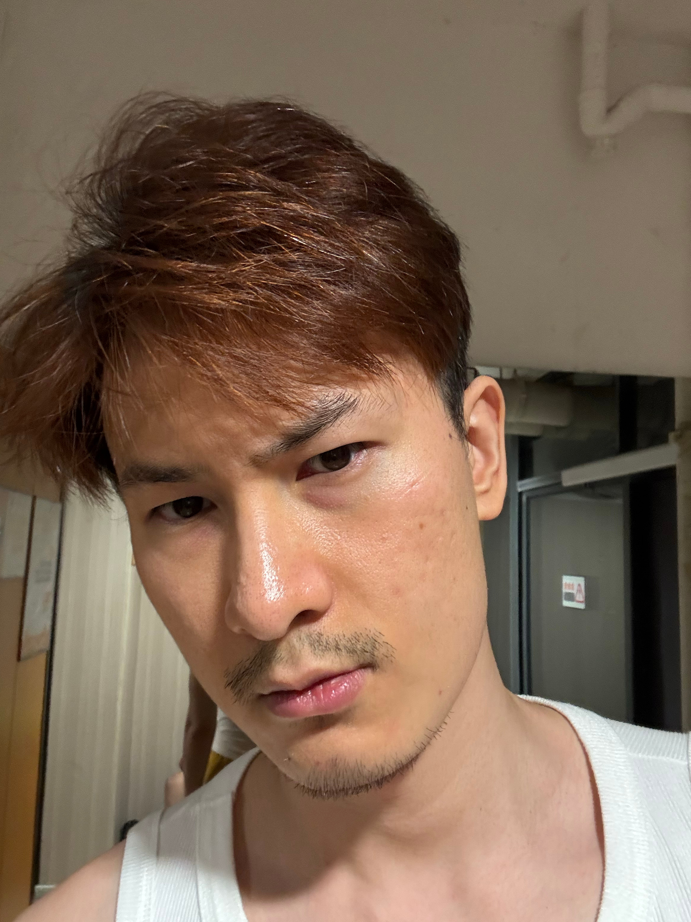 受不了了这猫怎么回事为什么这么像我 ​​​