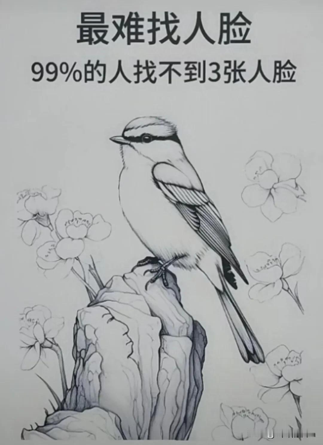 找找看能有几张脸，用❤才能找到，一点不难，测试一下
#你找到了几张脸# #你找到