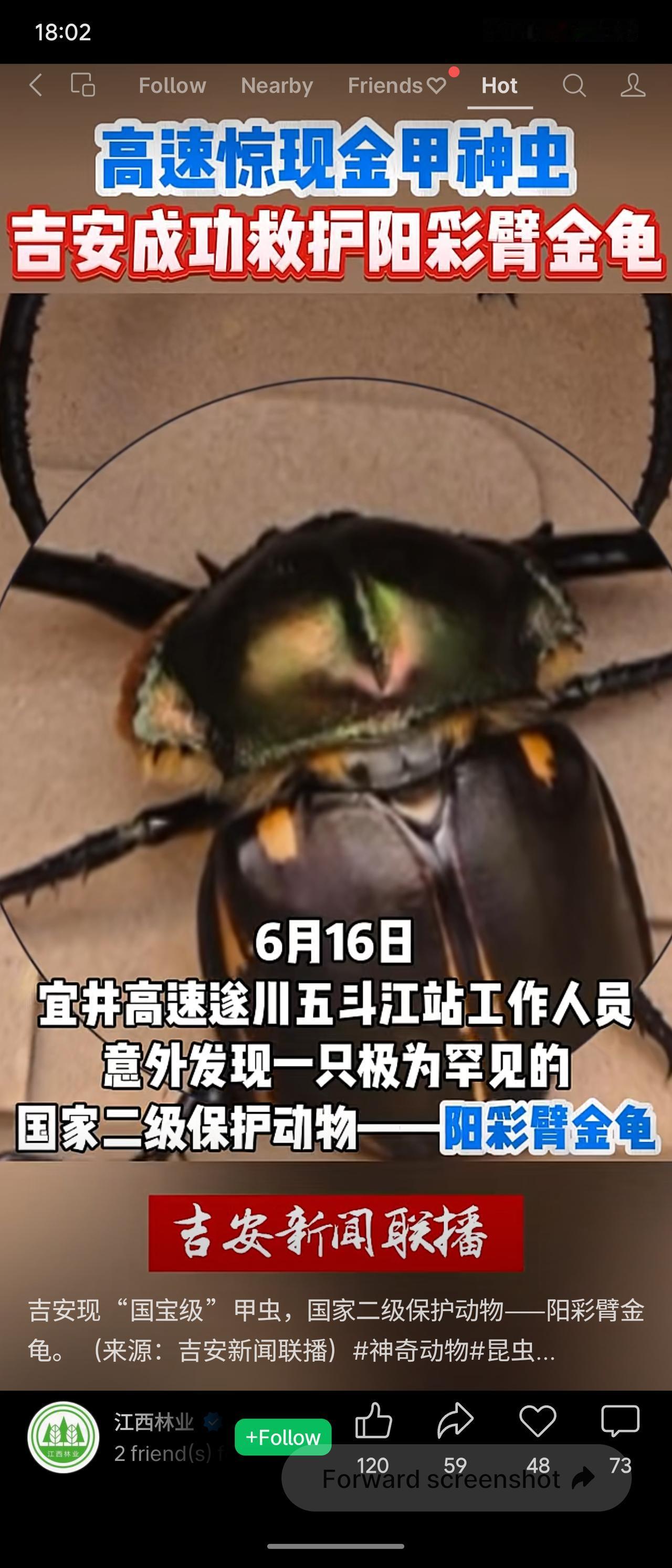 6月16日，宜井高速遂川五斗江站工作人员意外发现一只极为罕见的国家二级保护动物—
