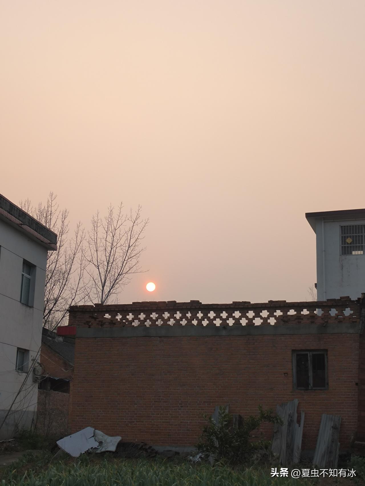 今天下午路过邻居家门口，老两口正坐在门前晒太阳。那老人瞧见我，赶忙打招呼，还走上