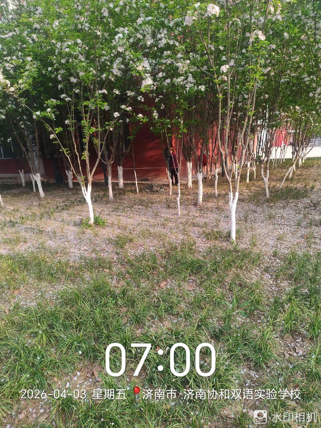 我回复了@YuKi 的评论：  图（@@