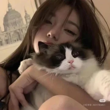 周游大厂
