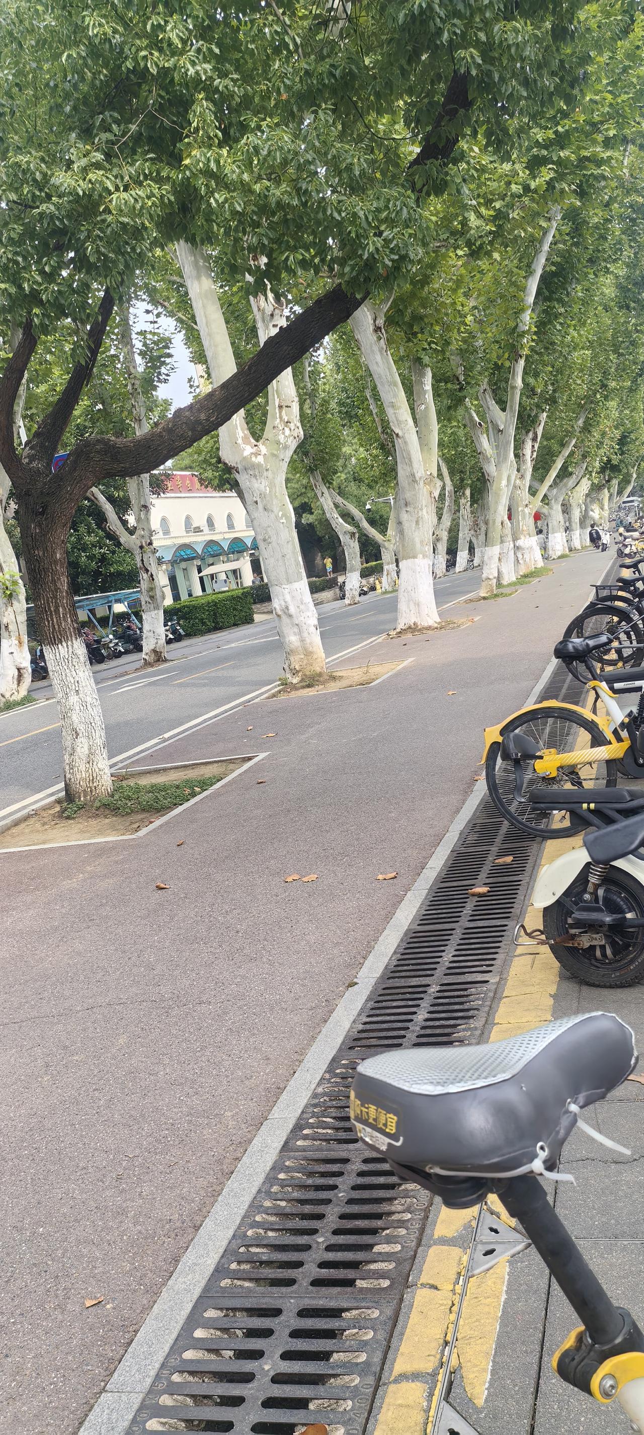 分享手机里随手拍的风景照片