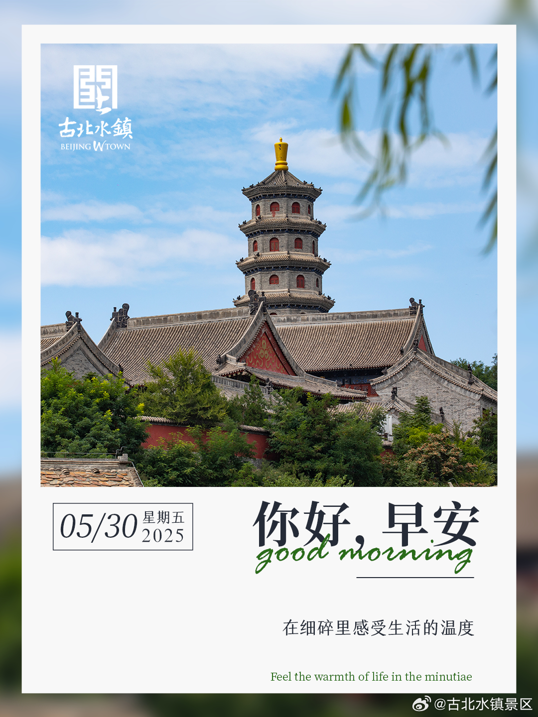 在细碎里感受生活的温度早安，宝子们~ ​​​