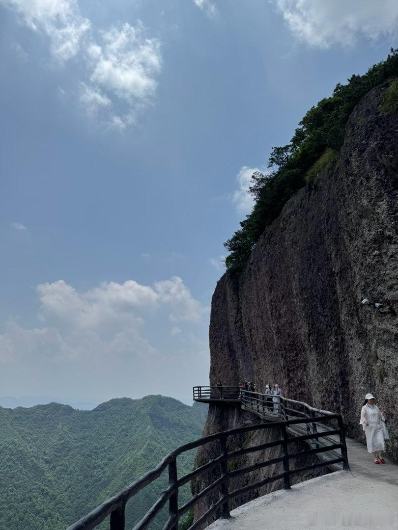 《贻林微观察9130》耿同学打假，是本土民间监督的典型代表。他依托专业知识深挖学