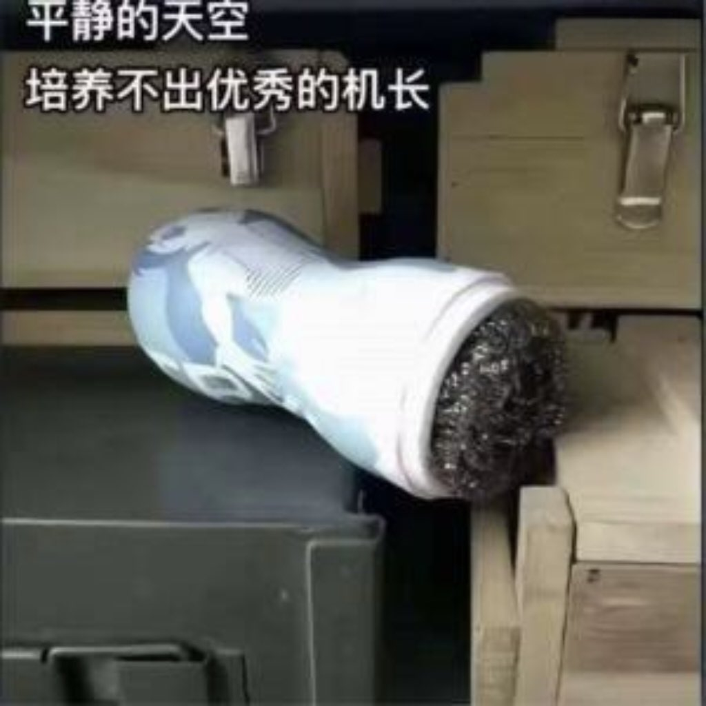 钢丝球的花语是富贵于隐忍 