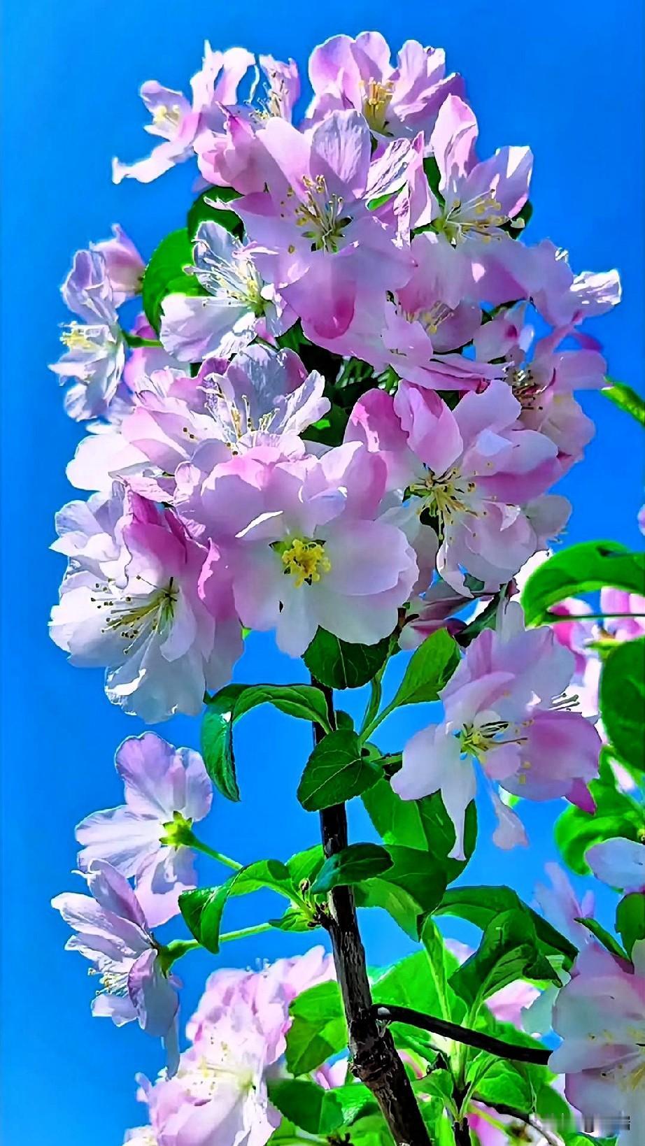 说实话，
你有多久没好好睡过一觉了？
有多久没因为纯粹的开心笑出声了？
有多久没