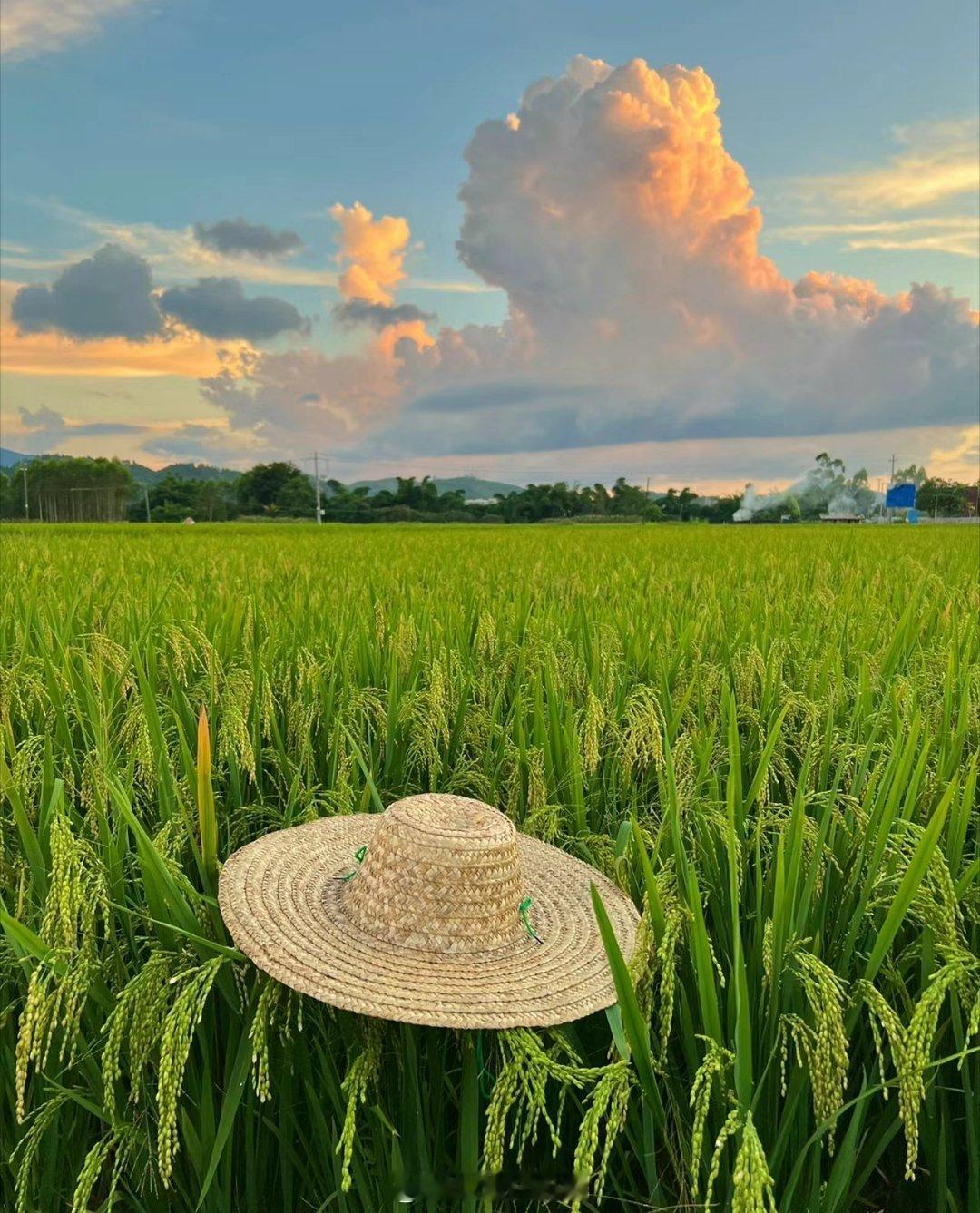 管好自己，莫渡他人我们常常怀着一颗热忱的心，想要去帮助他人，为其拨开迷雾、指引方