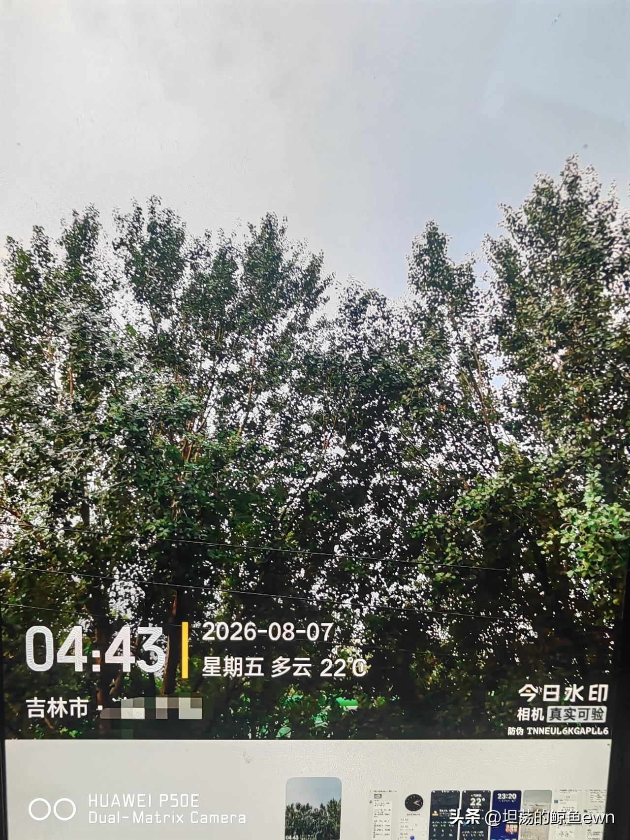 坐标吉林市，2026年8月7日凌晨04：25分，此时此刻一个63岁退休老头最想说