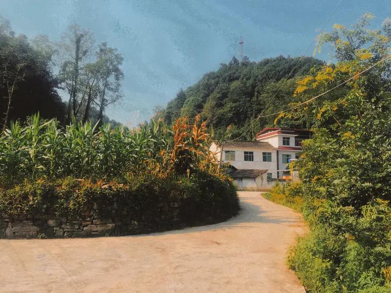 “富在深山有远亲”，经典的上联是“穷在闹市无人问”。这句对仗堪称绝妙，精准勾勒出