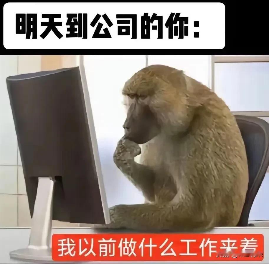 春节假期收假回来上班，会有这样的感觉[呲牙]不记得做什么工作的