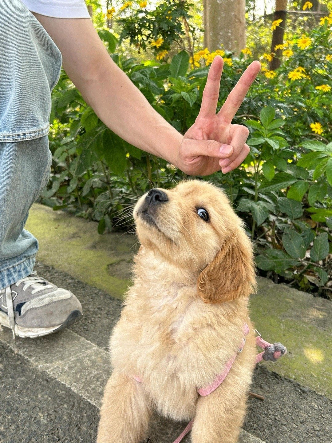 五月的天，你好呀！ ​​​