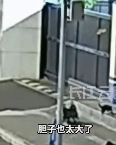 凌晨时分，派出所的民警加班加点办完了一起盗窃案件，忙了大半夜肚子饿得厉害，就点了