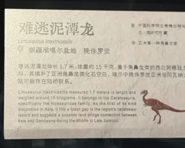 【恐龙命名基本规则是什么？】恐龙的命名方式，其实和其他生物一样，正式的学名采用的