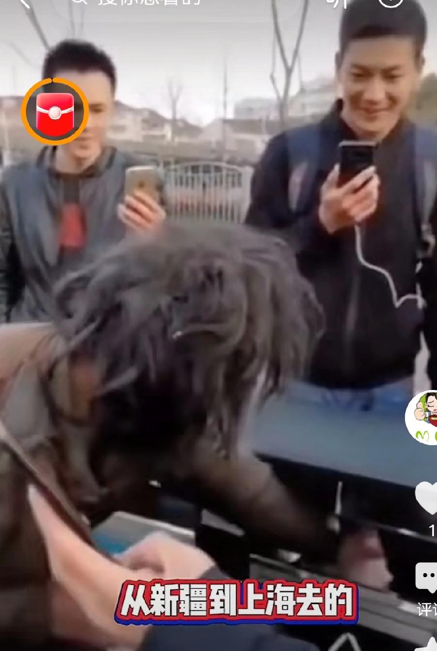 沈巍和干儿子刘小飞的故事，现在说起来也是一段传奇，许多真心实意对沈巍老师的说起刘