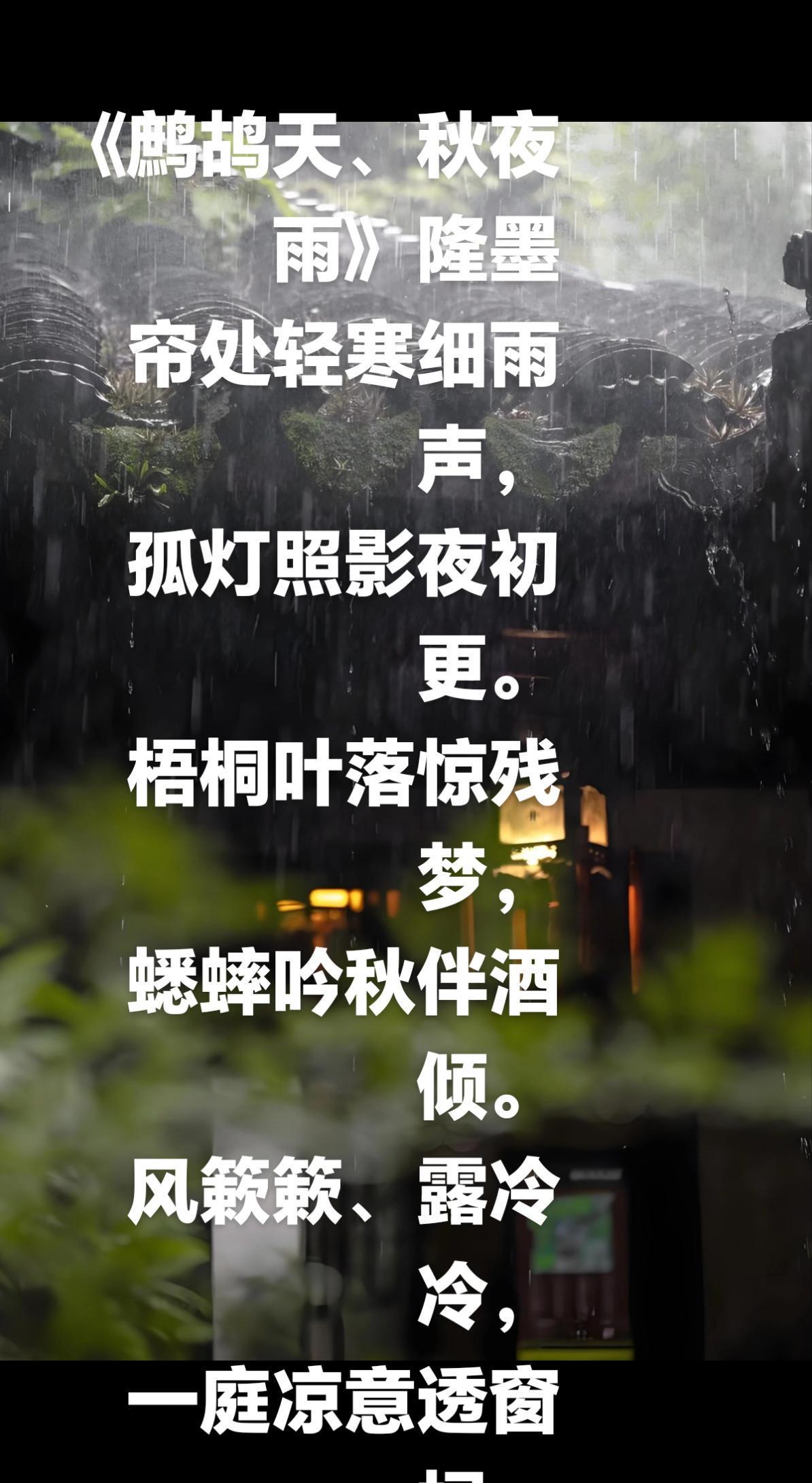雨夜听雨
