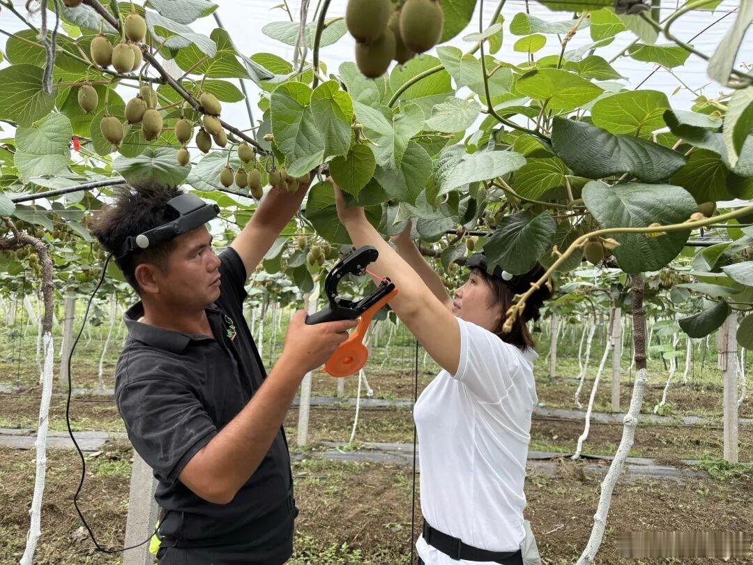 昨天，京东宣布，全国首个具身智能数据采集社区在宿迁正式运行。采集员头戴京东自研的