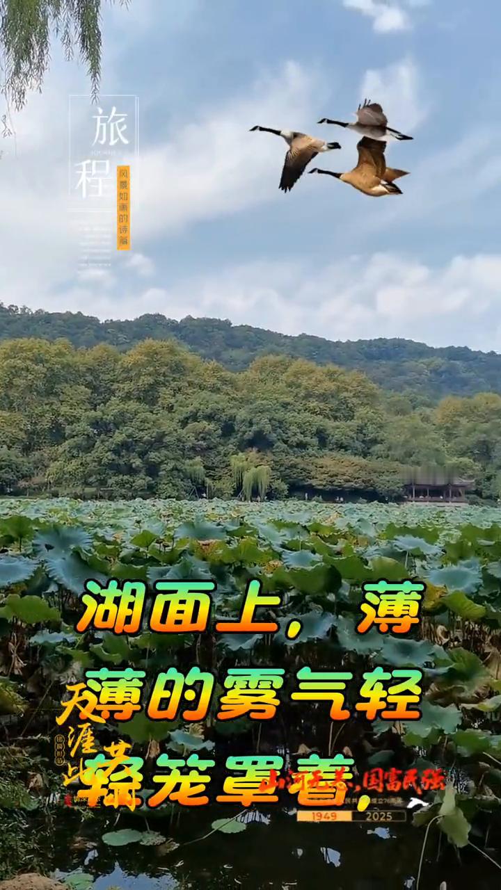 冬日里游览西湖。
在寒冷的冬日里，我怀揣着一份别样的期待，踏上了游览杭州西湖的旅