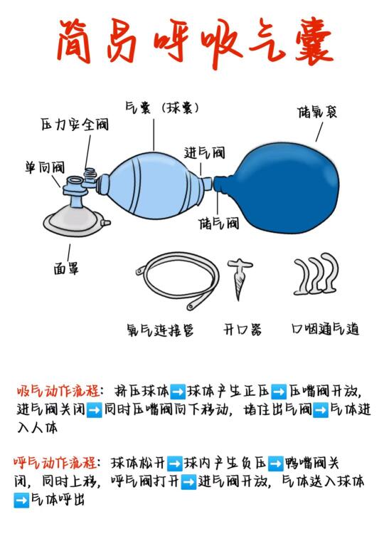 医学生笔记——简易呼吸气囊