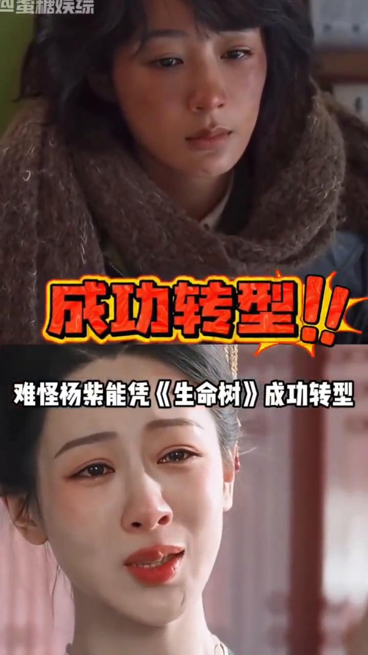 成功转型！杨紫。
蜜糖娱综。
难怪杨紫能凭《生命树》成功转型。要知道曾经的杨紫被