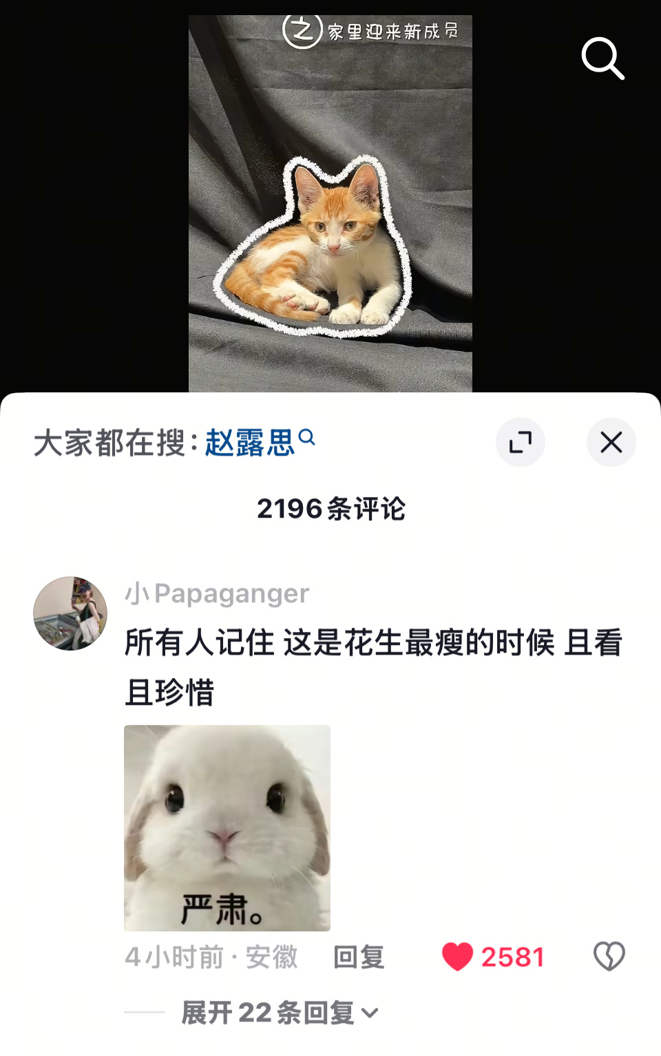 赵露思 诶 还真让你说着了 
