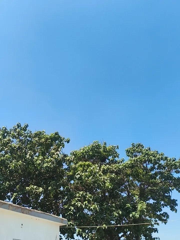 拍摄一张连续几天阴天下雨，今天上午才放晴的天空。绝美随手拍天空 
头条首发